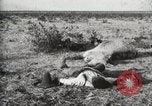 Standbild eidgenössischen Soldaten Ojinaga Mexiko, 1913, aus Sekunde 6 historischem Filmmaterial Videoclip 65675023029