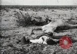 Standbild eidgenössischen Soldaten Ojinaga Mexiko, 1913, aus Sekunde 8 historischem Filmmaterial Videoclip 65675023029