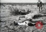 Standbild eidgenössischen Soldaten Ojinaga Mexiko, 1913, aus Sekunde 12 historischem Filmmaterial Videoclip 65675023029