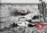Standbild eidgenössischen Soldaten Ojinaga Mexiko, 1913, aus Sekunde 24 historischem Filmmaterial Videoclip 65675023029