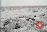 Standbild eidgenössischen Soldaten Ojinaga Mexiko, 1913, aus Sekunde 32 historischem Filmmaterial Videoclip 65675023029