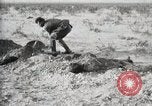 Standbild eidgenössischen Soldaten Ojinaga Mexiko, 1913, aus Sekunde 35 historischem Filmmaterial Videoclip 65675023029