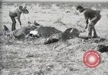 Standbild eidgenössischen Soldaten Ojinaga Mexiko, 1913, aus Sekunde 39 historischem Filmmaterial Videoclip 65675023029