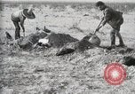 Standbild eidgenössischen Soldaten Ojinaga Mexiko, 1913, aus Sekunde 40 historischem Filmmaterial Videoclip 65675023029
