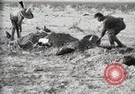 Standbild eidgenössischen Soldaten Ojinaga Mexiko, 1913, aus Sekunde 41 historischem Filmmaterial Videoclip 65675023029