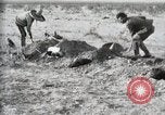 Standbild eidgenössischen Soldaten Ojinaga Mexiko, 1913, aus Sekunde 42 historischem Filmmaterial Videoclip 65675023029
