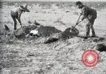Standbild eidgenössischen Soldaten Ojinaga Mexiko, 1913, aus Sekunde 43 historischem Filmmaterial Videoclip 65675023029