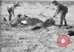 Standbild eidgenössischen Soldaten Ojinaga Mexiko, 1913, aus Sekunde 44 historischem Filmmaterial Videoclip 65675023029