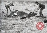 Standbild eidgenössischen Soldaten Ojinaga Mexiko, 1913, aus Sekunde 45 historischem Filmmaterial Videoclip 65675023029