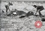 Standbild eidgenössischen Soldaten Ojinaga Mexiko, 1913, aus Sekunde 46 historischem Filmmaterial Videoclip 65675023029