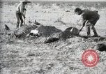 Standbild eidgenössischen Soldaten Ojinaga Mexiko, 1913, aus Sekunde 48 historischem Filmmaterial Videoclip 65675023029