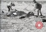 Standbild eidgenössischen Soldaten Ojinaga Mexiko, 1913, aus Sekunde 49 historischem Filmmaterial Videoclip 65675023029