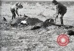 Standbild eidgenössischen Soldaten Ojinaga Mexiko, 1913, aus Sekunde 50 historischem Filmmaterial Videoclip 65675023029