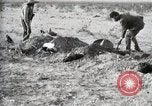Standbild eidgenössischen Soldaten Ojinaga Mexiko, 1913, aus Sekunde 51 historischem Filmmaterial Videoclip 65675023029