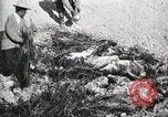 Standbild eidgenössischen Soldaten Ojinaga Mexiko, 1913, aus Sekunde 54 historischem Filmmaterial Videoclip 65675023029