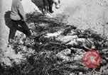 Standbild eidgenössischen Soldaten Ojinaga Mexiko, 1913, aus Sekunde 56 historischem Filmmaterial Videoclip 65675023029