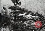 Standbild eidgenössischen Soldaten Ojinaga Mexiko, 1913, aus Sekunde 60 historischem Filmmaterial Videoclip 65675023029