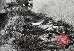 Standbild eidgenössischen Soldaten Ojinaga Mexiko, 1913, aus Sekunde 61 historischem Filmmaterial Videoclip 65675023029