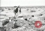 Standbild begraben Federals verstorben Ojinaga Mexiko, 1913, aus Sekunde 6 historischem Filmmaterial Videoclip 65675023034