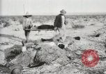 Standbild begraben Federals verstorben Ojinaga Mexiko, 1913, aus Sekunde 7 historischem Filmmaterial Videoclip 65675023034
