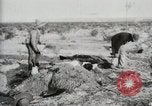 Standbild begraben Federals verstorben Ojinaga Mexiko, 1913, aus Sekunde 8 historischem Filmmaterial Videoclip 65675023034