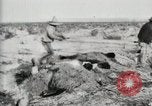 Standbild begraben Federals verstorben Ojinaga Mexiko, 1913, aus Sekunde 9 historischem Filmmaterial Videoclip 65675023034