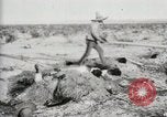 Standbild begraben Federals verstorben Ojinaga Mexiko, 1913, aus Sekunde 10 historischem Filmmaterial Videoclip 65675023034