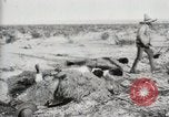 Standbild begraben Federals verstorben Ojinaga Mexiko, 1913, aus Sekunde 11 historischem Filmmaterial Videoclip 65675023034