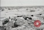 Standbild begraben Federals verstorben Ojinaga Mexiko, 1913, aus Sekunde 13 historischem Filmmaterial Videoclip 65675023034