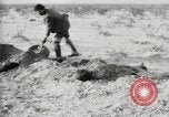 Standbild begraben Federals verstorben Ojinaga Mexiko, 1913, aus Sekunde 14 historischem Filmmaterial Videoclip 65675023034