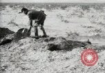 Standbild begraben Federals verstorben Ojinaga Mexiko, 1913, aus Sekunde 15 historischem Filmmaterial Videoclip 65675023034