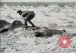 Standbild begraben Federals verstorben Ojinaga Mexiko, 1913, aus Sekunde 16 historischem Filmmaterial Videoclip 65675023034