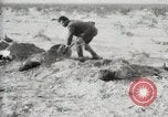 Standbild begraben Federals verstorben Ojinaga Mexiko, 1913, aus Sekunde 18 historischem Filmmaterial Videoclip 65675023034