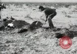 Standbild begraben Federals verstorben Ojinaga Mexiko, 1913, aus Sekunde 19 historischem Filmmaterial Videoclip 65675023034