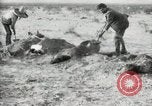 Standbild begraben Federals verstorben Ojinaga Mexiko, 1913, aus Sekunde 20 historischem Filmmaterial Videoclip 65675023034