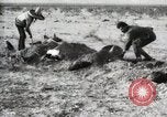 Standbild begraben Federals verstorben Ojinaga Mexiko, 1913, aus Sekunde 21 historischem Filmmaterial Videoclip 65675023034