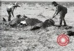 Standbild begraben Federals verstorben Ojinaga Mexiko, 1913, aus Sekunde 23 historischem Filmmaterial Videoclip 65675023034