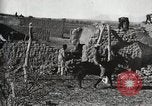 Standbild begraben Federals verstorben Ojinaga Mexiko, 1913, aus Sekunde 43 historischem Filmmaterial Videoclip 65675023034