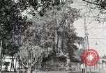 Standbild mexikanische Volk Mexico City Mexiko, 1925, aus Sekunde 6 historischem Filmmaterial Videoclip 65675023037