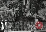 Standbild mexikanische Volk Mexico City Mexiko, 1925, aus Sekunde 17 historischem Filmmaterial Videoclip 65675023037