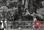 Standbild mexikanische Volk Mexico City Mexiko, 1925, aus Sekunde 19 historischem Filmmaterial Videoclip 65675023037