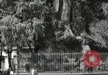 Standbild mexikanische Volk Mexico City Mexiko, 1925, aus Sekunde 20 historischem Filmmaterial Videoclip 65675023037