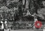 Standbild mexikanische Volk Mexico City Mexiko, 1925, aus Sekunde 21 historischem Filmmaterial Videoclip 65675023037