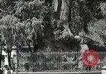 Standbild mexikanische Volk Mexico City Mexiko, 1925, aus Sekunde 22 historischem Filmmaterial Videoclip 65675023037