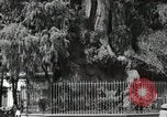 Standbild mexikanische Volk Mexico City Mexiko, 1925, aus Sekunde 24 historischem Filmmaterial Videoclip 65675023037