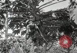 Standbild Spanish Patio Mexico City Mexiko, 1925, aus Sekunde 27 historischem Filmmaterial Videoclip 65675023038
