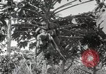 Standbild Spanish Patio Mexico City Mexiko, 1925, aus Sekunde 28 historischem Filmmaterial Videoclip 65675023038