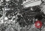 Standbild Spanish Patio Mexico City Mexiko, 1925, aus Sekunde 29 historischem Filmmaterial Videoclip 65675023038