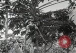 Standbild Spanish Patio Mexico City Mexiko, 1925, aus Sekunde 30 historischem Filmmaterial Videoclip 65675023038