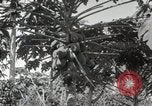 Standbild Spanish Patio Mexico City Mexiko, 1925, aus Sekunde 31 historischem Filmmaterial Videoclip 65675023038